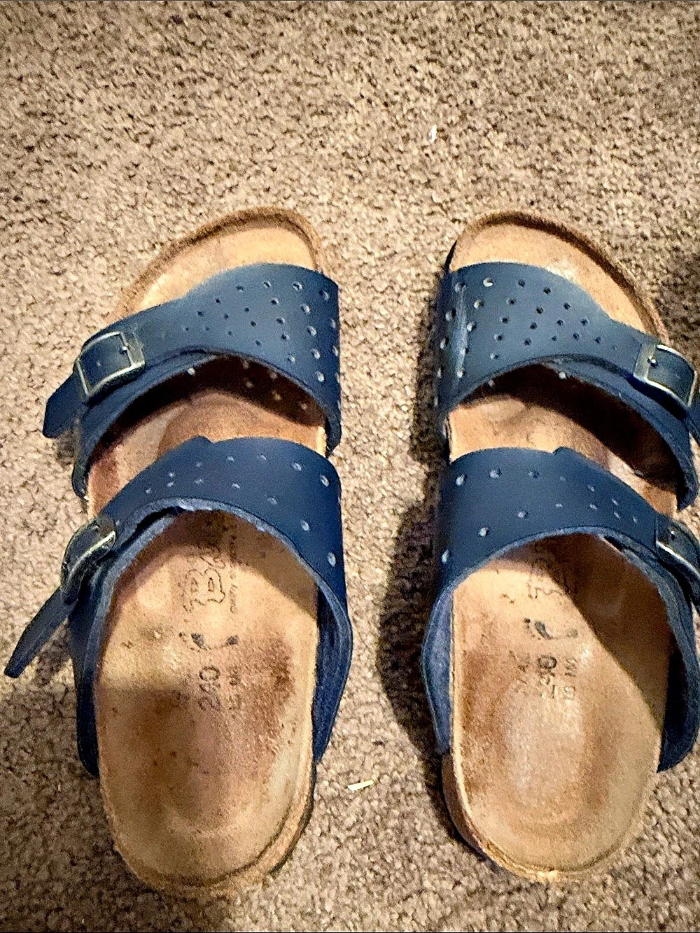 Birkenstock Blue Buckle Sandals